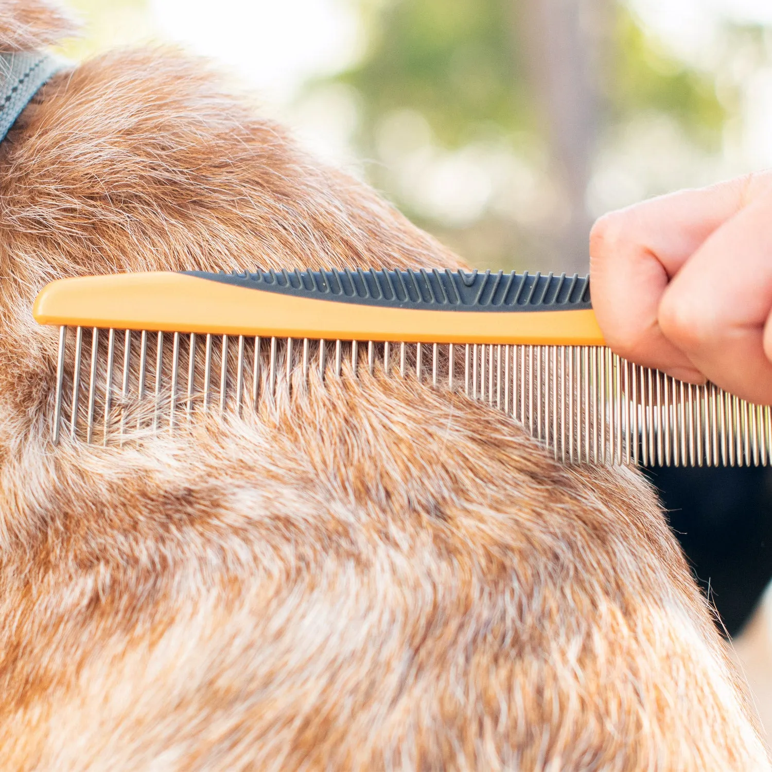 Detangling Comb