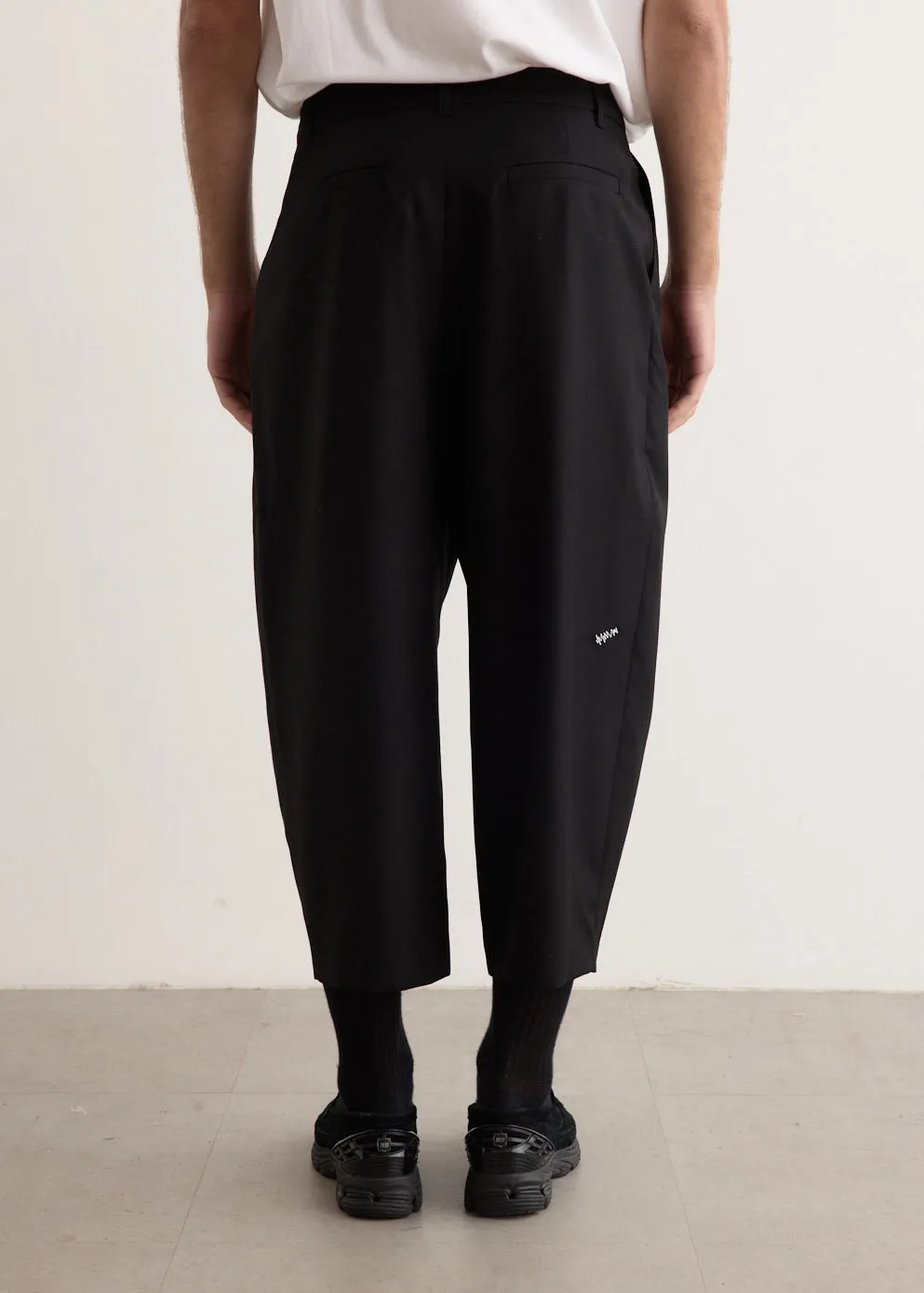 Significant Pleat Pants